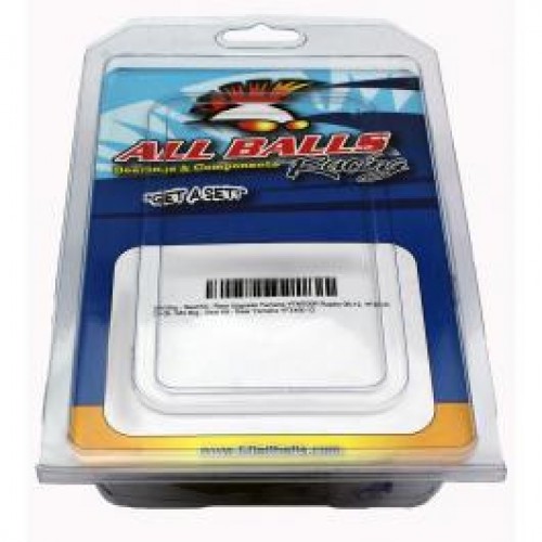 KIT DE RECONDITIONNEMENT SUSPENSION ARRIÈRE INDÉPENDANTE ALL BALLS POUR ARCTIC CAT